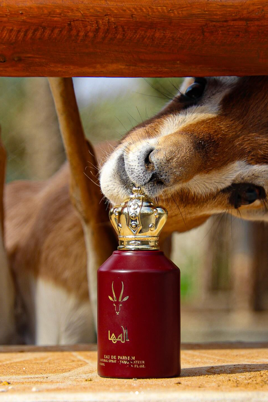 Al Maha | Perfume