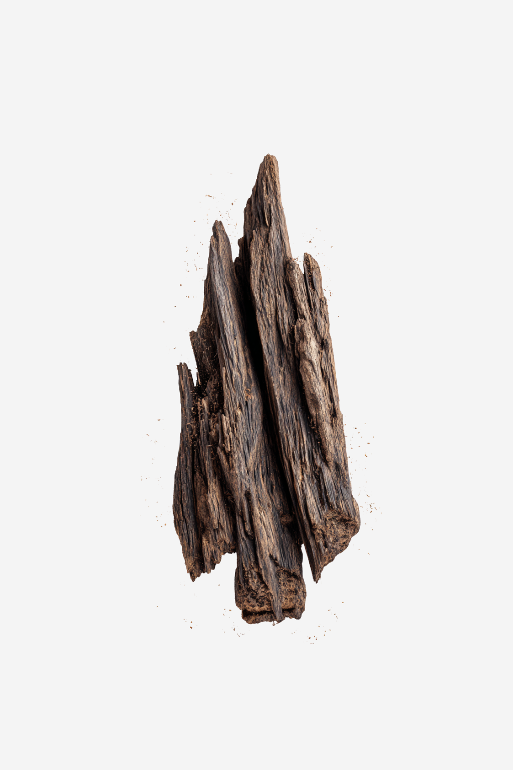 The V-VIP | Oud Incense